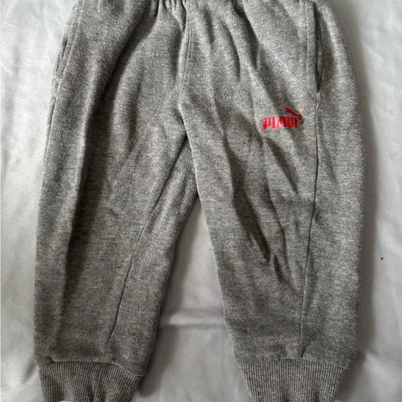 Puma Kids Gray Hoodie Set with Red Logo - Picture 3 of 6